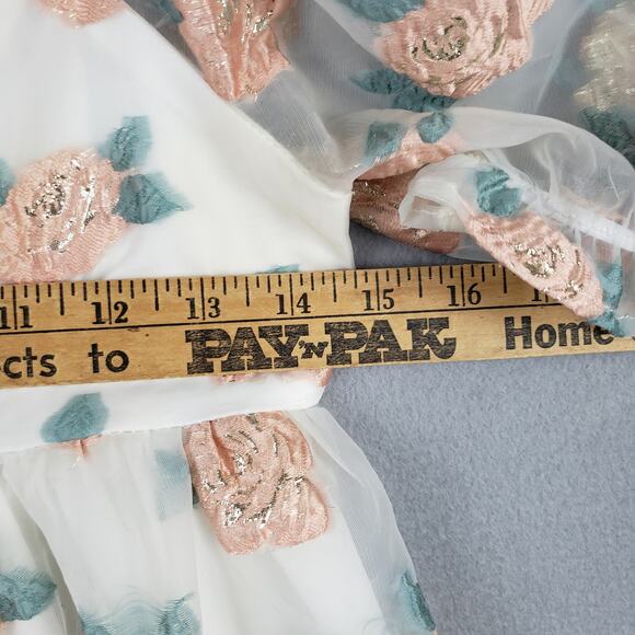 Altar'd State Size XS Floral Chiffon Puff Sleeve Mini Dress Pink Rosette Fairy - Picture 5 of 10